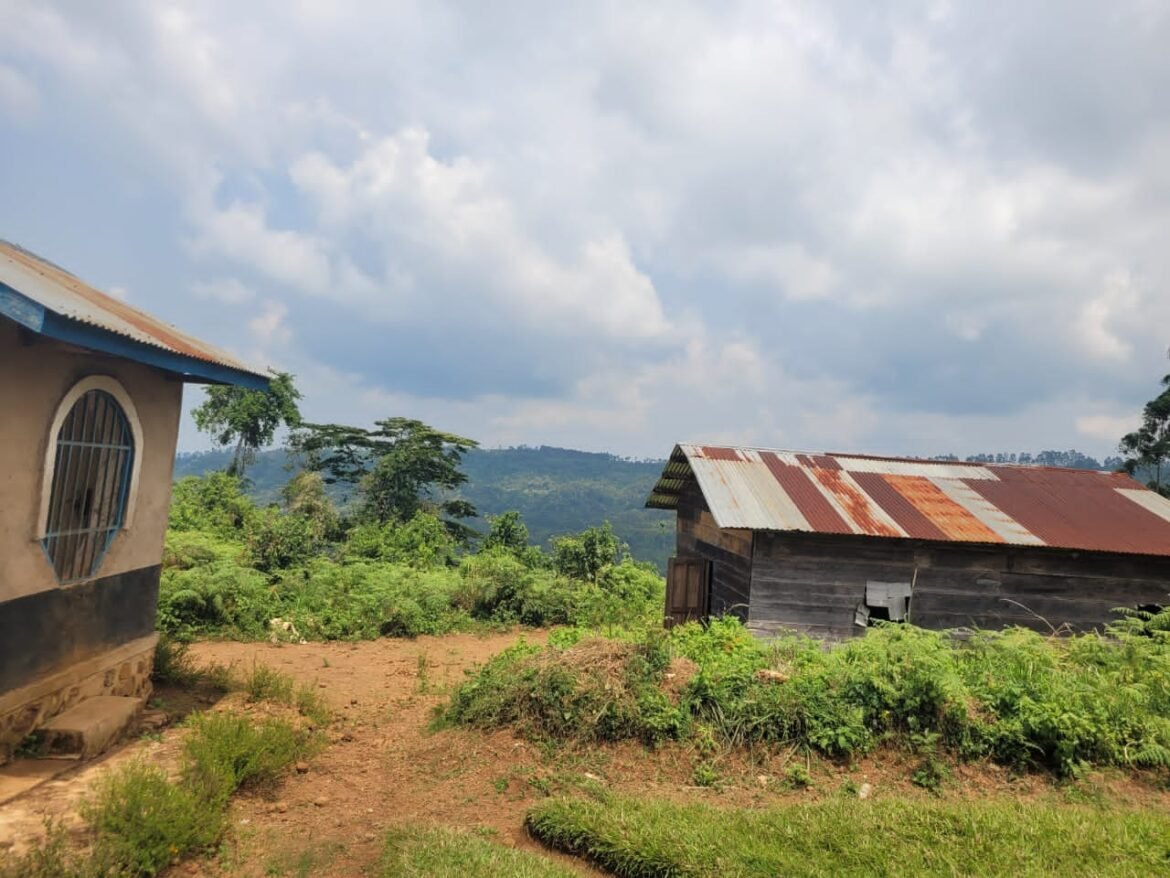 La situation reste critique dans le groupement de Mwenye, en chefferie de Baswagha, territoire de Lubero, au Nord-Kivu. Plus d’un mois après les attaques des rebelles ADF, des milliers d’habitants sont toujours réfugiés à Butembo, Musienene et dans d’autres localités, incapables de retourner dans leurs villages désertés.