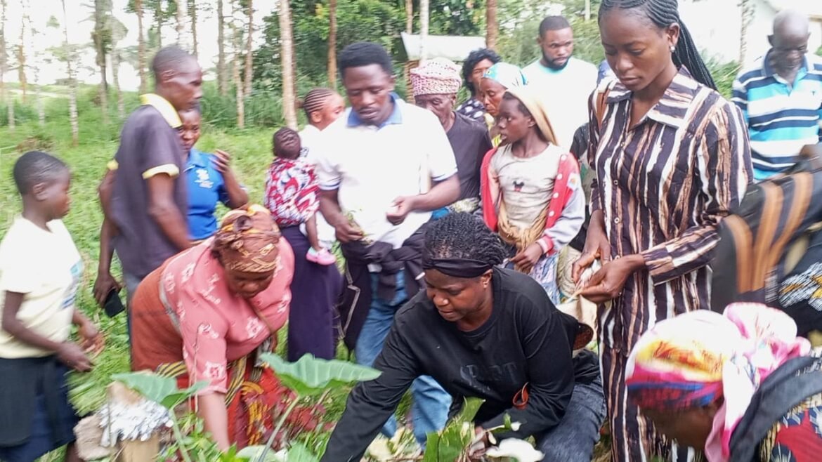 La Dynamique des Femmes pour la Bonne Gouvernance (DYFEGOU) a effectué, ce vendredi 27 mars 2026, une visite de solidarité à Manguredjipa, chef-lieu du secteur des Bapere, en territoire de Lubero, dans la province du Nord-Kivu.