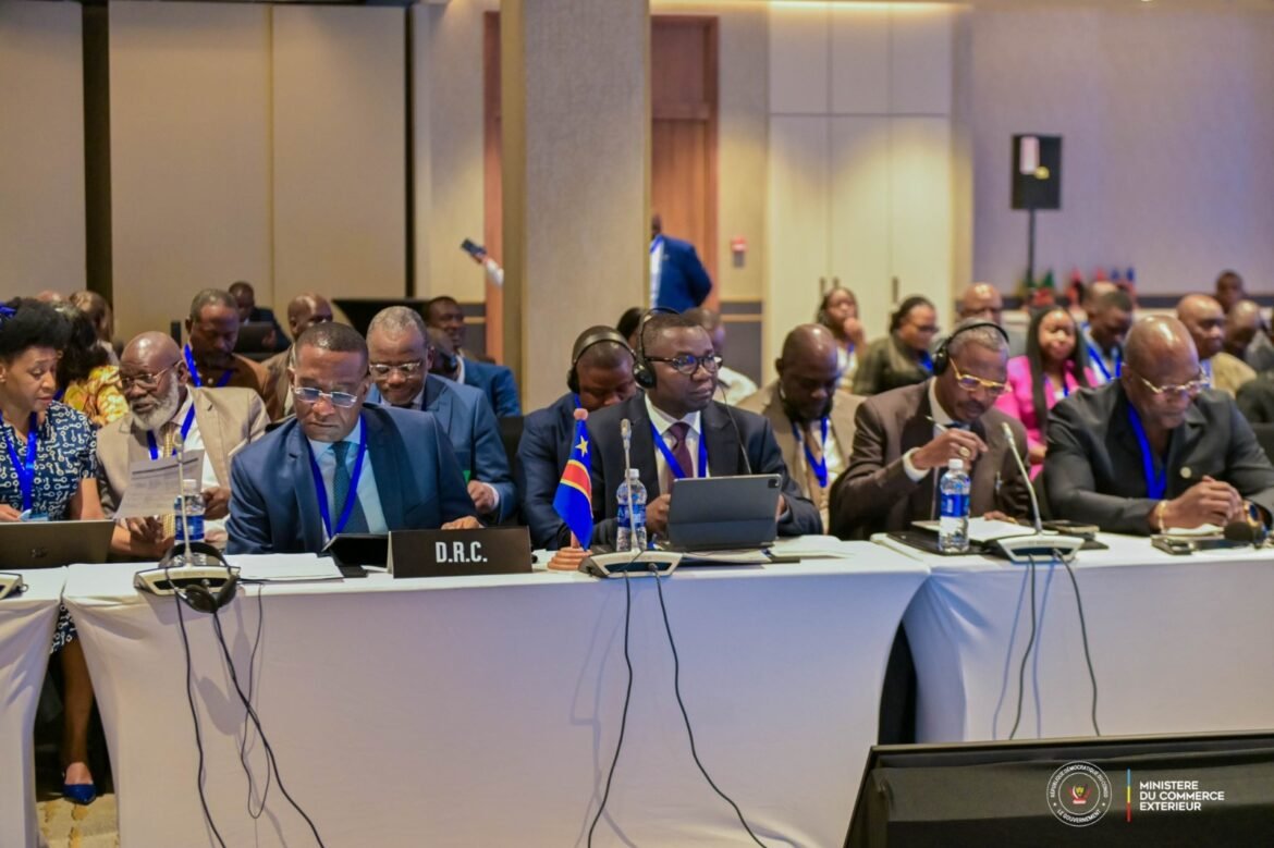 Corridor de Lobito : la RDC plaide à Lusaka pour une feuille de route avec des indicateurs précis afin d’accélérer la mise en œuvre des engagements.