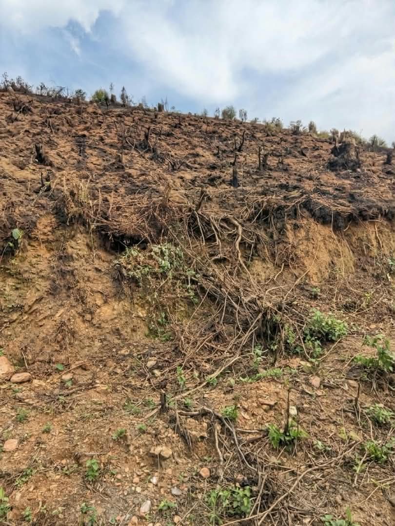 Les agriculteurs du Nord-Kivu sont invités à limiter les brûlis agricoles afin de préserver la fertilité des sols et les organismes qui y vivent, notamment les vers de terre.